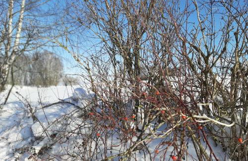 Fewo an der Teufelskanzel - Foto 41