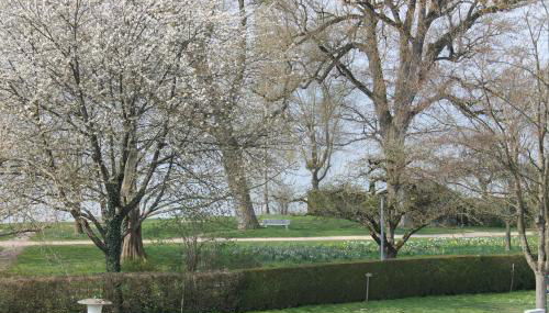 Nahe am See - Foto 2