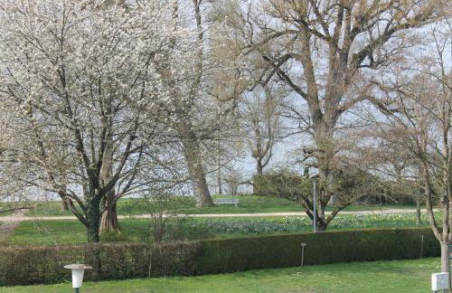 Nahe am See - Foto 2