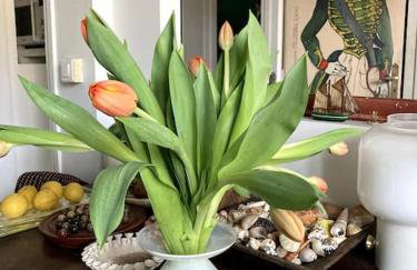 Maison avec jardin - Foto 12