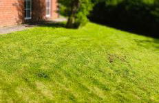 Ferienhaus Jan - Foto 20