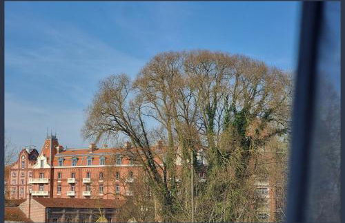 Gîtes Familistère Landrecies - Guise - Foto 23