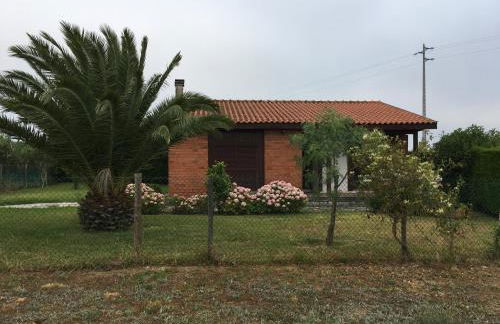 Quinta oásis Eden - Photo 1