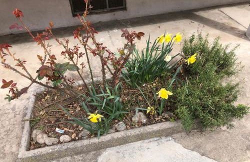 House vittone venaria reale 2 - Photo 2