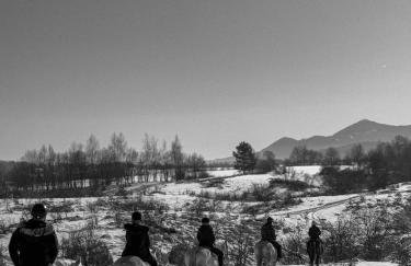 Forest Paradise - Foto 54