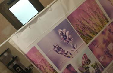 Berlin Lovely - Foto 37