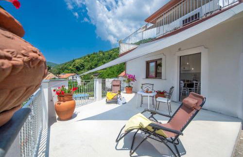 Rosa Maison - Foto 32