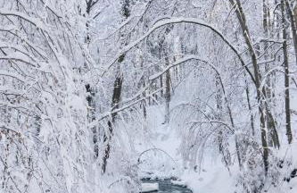 Rückzugsort mitten im Paradies - Foto 30