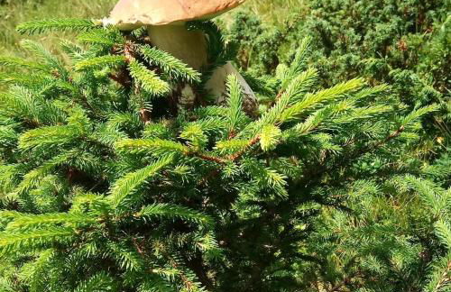 Da Nicola e Laura - Photo 18