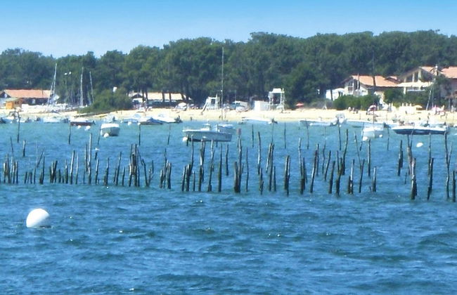 Heritage Mansion on Arcachon Bay - Foto 15