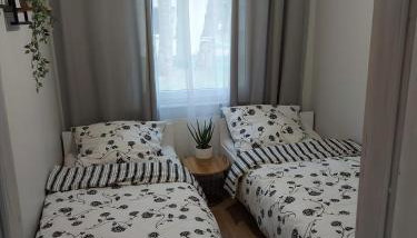 W sosnowym lesie - Foto 5