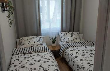 W sosnowym lesie - Foto 5