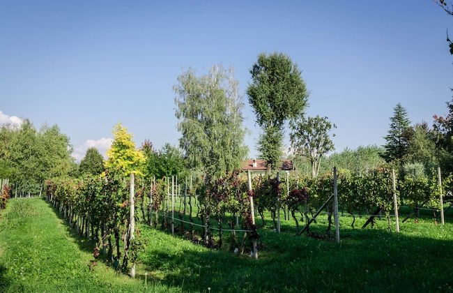 Villa Torresani - Foto 7