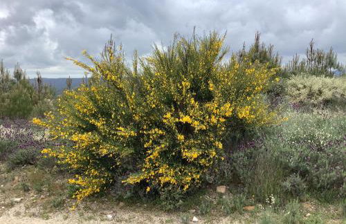 Casa De Ferias Santos - Foto 41