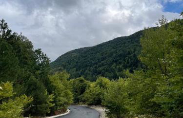 Capris Rustic Ηouse with Mountain View - Foto 44