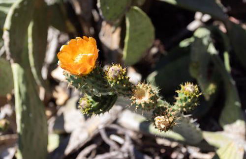 Casa Camila - Charming retreat & terrace, Hierro - Foto 31