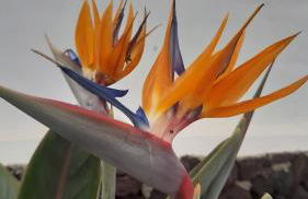 La Belle Vie - Foto 43