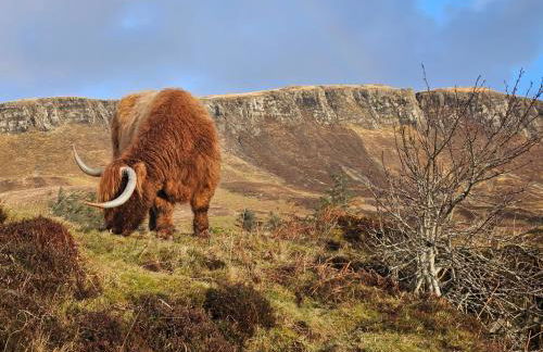 Hillside House - Foto 30