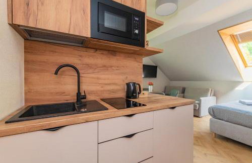 Apartamenty Gajówka- rowery, plac zabaw, sauna, jacuzzi - Foto 13