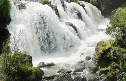 Casa com 01 qto 42m2 - Foto 20