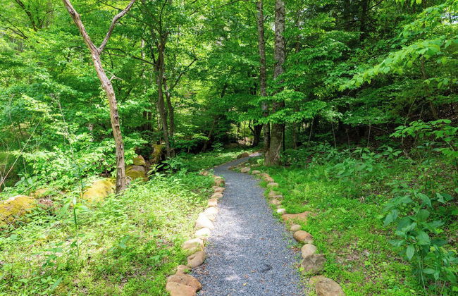 Mountain Community Home In Ellijay! Games, Private Hot Tub and Sunsets! - Foto 28