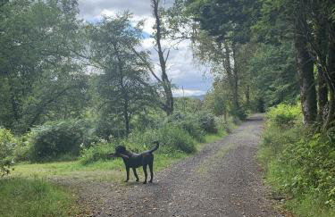 Tawny Owl Pod with Hot Tub - Foto 48