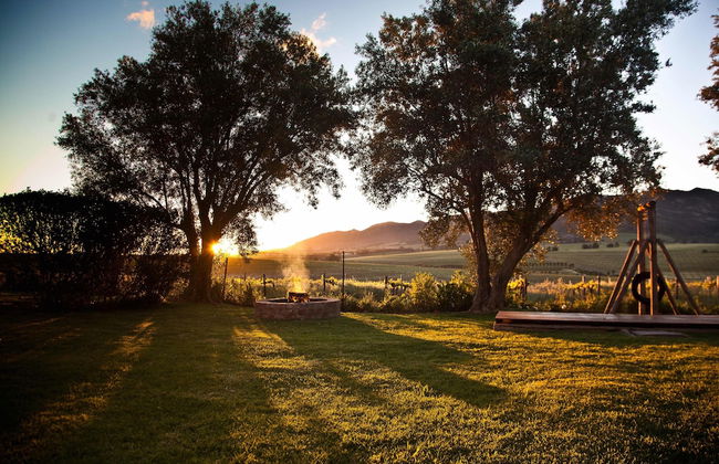 Denneboom Vineyards and Wildlife - Foto 42