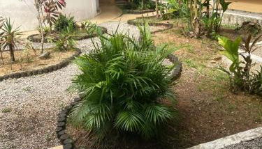 Espaço jasmim manga - Foto 2