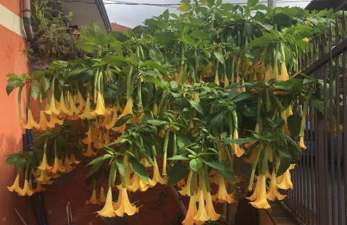 Stanza Luna - Foto 19