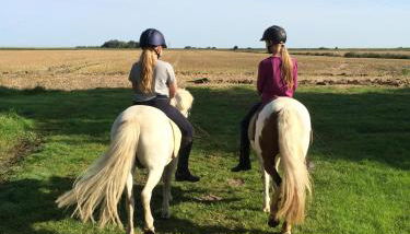 Tetenshof für Pferdeliebhaber - Photo 4