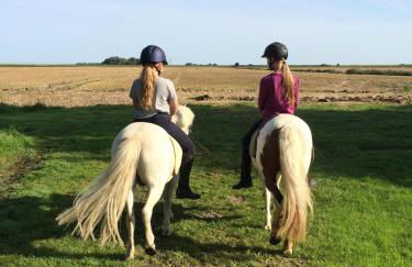 Tetenshof für Pferdeliebhaber - Foto 4