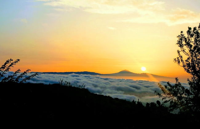 La Casa del Abuelito Julián en El Hierro - Foto 56