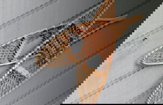 Elm Riverside Accommodation Merrijig - Foto 15