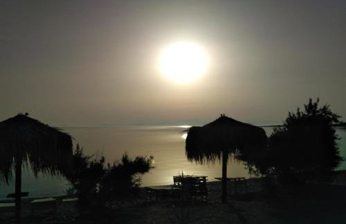 9 Musses ROOMS - Foto 20