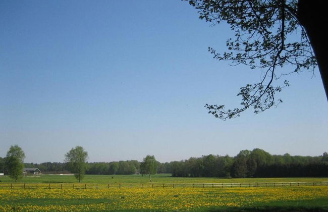 Cozy Villa in the Middle of the Achterhoek - Foto 43