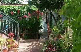 Dubrovnik quiet center Apartment Misur - Foto 27