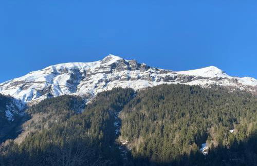 Individual chalet for up to 12 people maximum - Foto 35