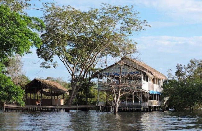 Tour por el Bosque Nacional de Tapajós - Foto 4