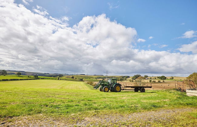 Host Stay The Stable - Foto 16