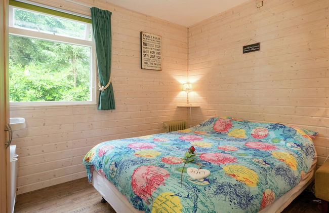 Holiday Home in Arrien Near Beerze Nature - Foto 4