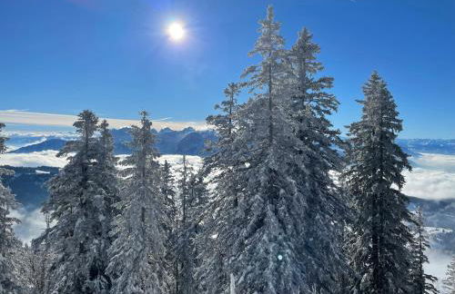 Ferienwohnungen Wagenstaller - Foto 54