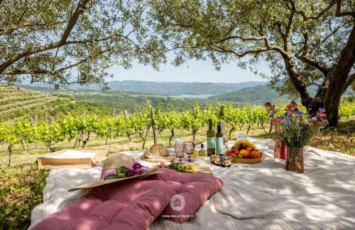 Casa Mille Olivi 2 - House with Private Pool & Lake View near Motovun - Photo 35