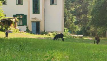 Willa Gaszek - Foto 4