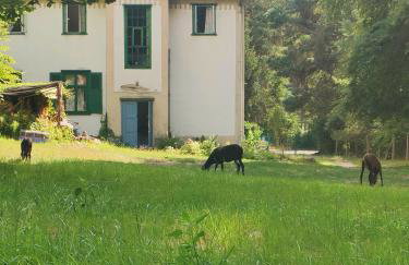 Willa Gaszek - Photo 4