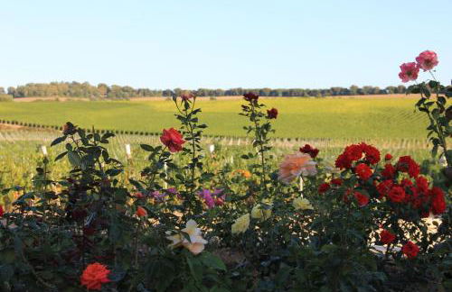 Agriturismo Poggio al Tufo - Foto 111