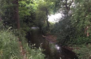 Pinewood #Edwinstowe - Foto 18