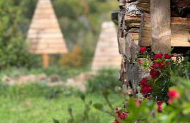 Kleines Chalet im Erzgebirge mit Sauna und Kamin - Foto 42