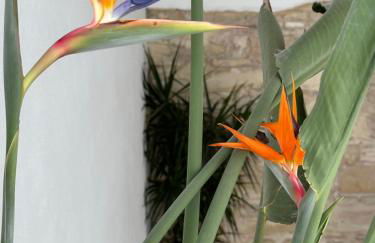 Casa Nuna Modern Loft with Private Garden Terrace - Foto 21