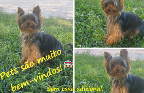 Piscina Climatizada - Chácara em Condominio - Foto 8