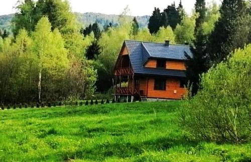 DoMarka całoroczny dom w Bieszczadach - Foto 1